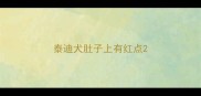 泰迪犬肚子上有红点