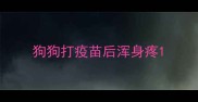狗狗打疫苗后浑身疼