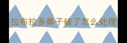 拉布拉多鼻子破了怎么处理