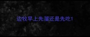 边牧早上先溜还是先吃