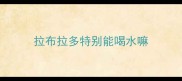 拉布拉多特别能喝水嘛