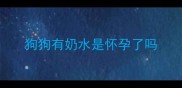 狗狗有奶水是怀孕了吗