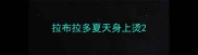 拉布拉多夏天身上烫