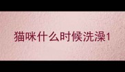 猫咪什么时候洗澡