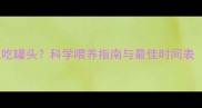 猫咪多大可以吃罐头科学喂养指南与最佳时间表附食谱