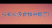 拉布拉多食物中毒了