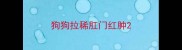狗狗拉稀肛门红肿