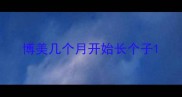 博美几个月开始长个子