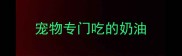 宠物专门吃的奶油
