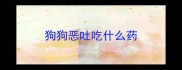 狗狗恶吐吃什么药
