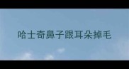 哈士奇鼻子跟耳朵掉毛