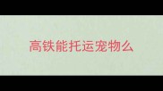 高铁能托运宠物么
