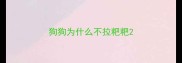 狗狗为什么不拉粑粑