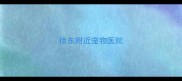 徐东附近宠物医院