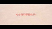 哈士奇用哪种梳子