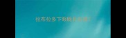 拉布拉多下眼睑长东西
