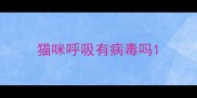 猫咪呼吸有病毒吗