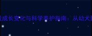 拉布拉多犬全阶段成长变化与科学养护指南从幼犬到老年的饲养要点