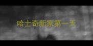 哈士奇新家第一天