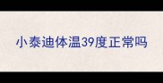 小泰迪体温39度正常吗
