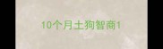 10个月土狗智商
