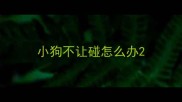 小狗不让碰怎么办