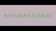 为什么幼犬打三次疫苗