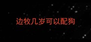 边牧几岁可以配狗