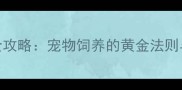 科学养宠全攻略宠物饲养的黄金法则与避坑指南
