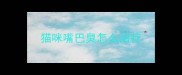 猫咪嘴巴臭怎么治疗