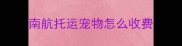 南航托运宠物怎么收费