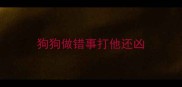 狗狗做错事打他还凶