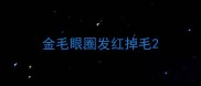 金毛眼圈发红掉毛