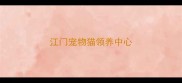江门宠物猫领养中心