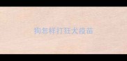 狗怎样打狂犬疫苗