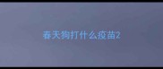 春天狗打什么疫苗