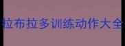拉布拉多训练动作大全