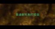 泰迪剃毛和打疫苗