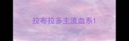 拉布拉多主流血系