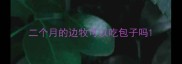 二个月的边牧可以吃包子吗