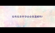拉布拉多怀孕会会变温顺吗