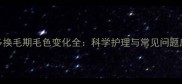 拉布拉多换毛期毛色变化全科学护理与常见问题应对指南