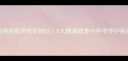 狗狗皮肤突然变粉红5大健康隐患与科学养护指南