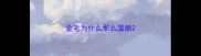 金毛为什么那么温顺