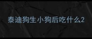 泰迪狗生小狗后吃什么