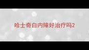 哈士奇白内障好治疗吗