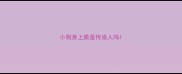 小狗身上跳蚤传染人吗
