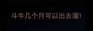 斗牛几个月可以出去溜