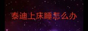 泰迪上床睡怎么办