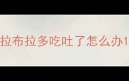 拉布拉多吃吐了怎么办